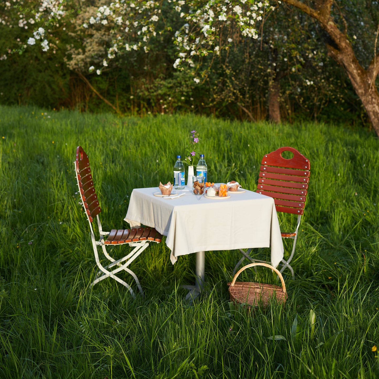 Picknicktisch auf der Wiese