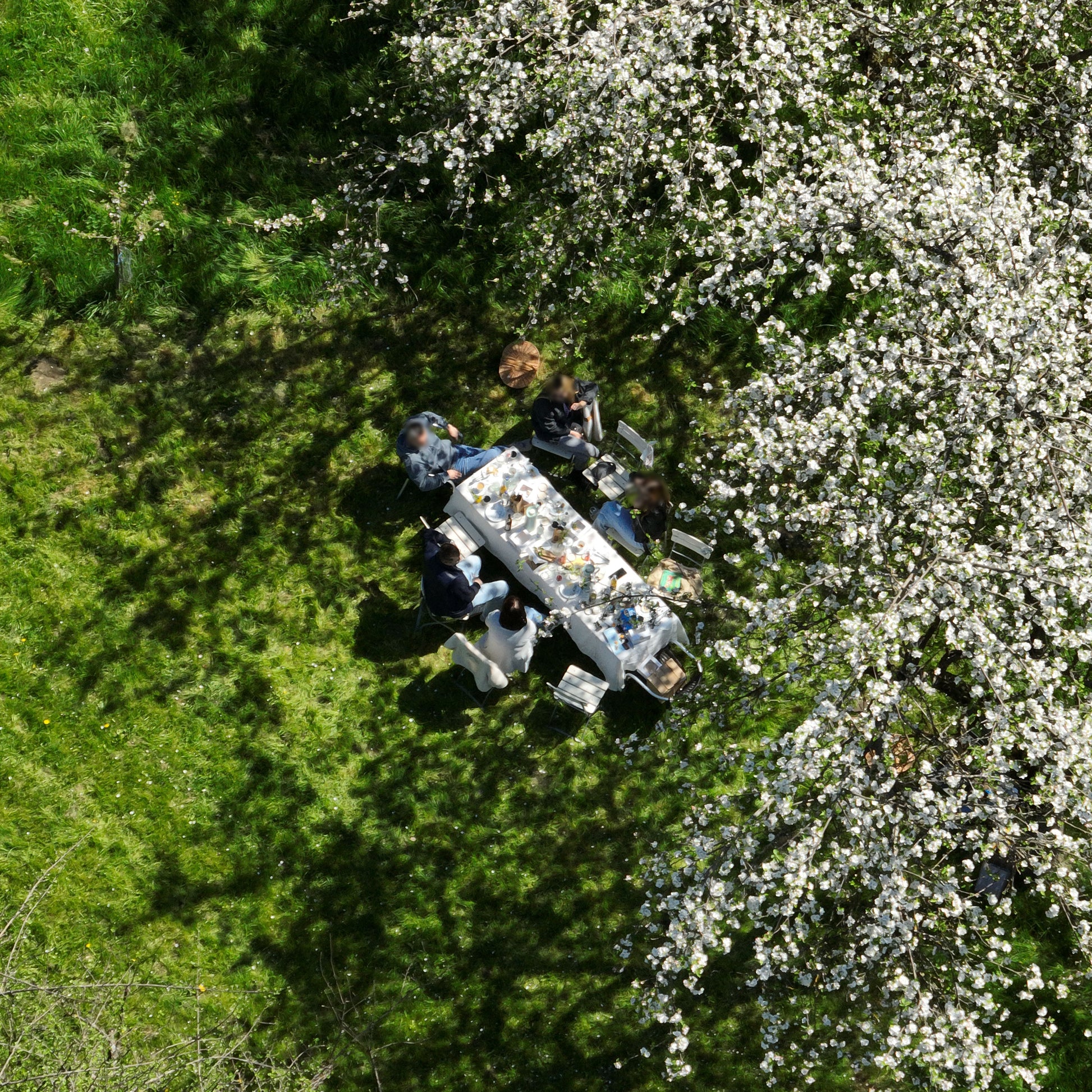 Gedeckter Picknicktisch mit 5 Personen