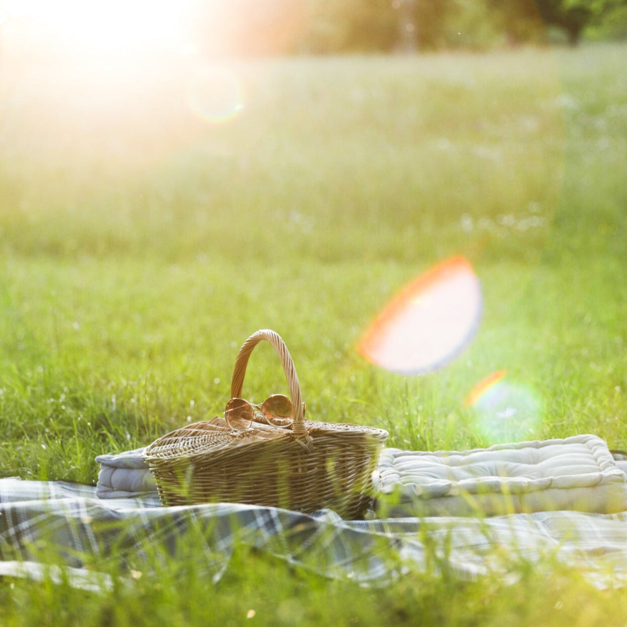 Picknickkorb auf Decke im Sonnenlicht